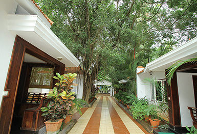 Deluxe Cottage at Rajapark